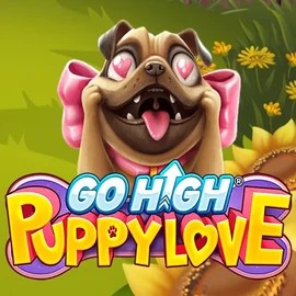 Go High Puppy Love casino game by RubyPlay – featured logo at Kingmaker Casino