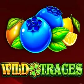 Slots logo of Wild Traces from Amusnet Interactive at Kingmaker Casino